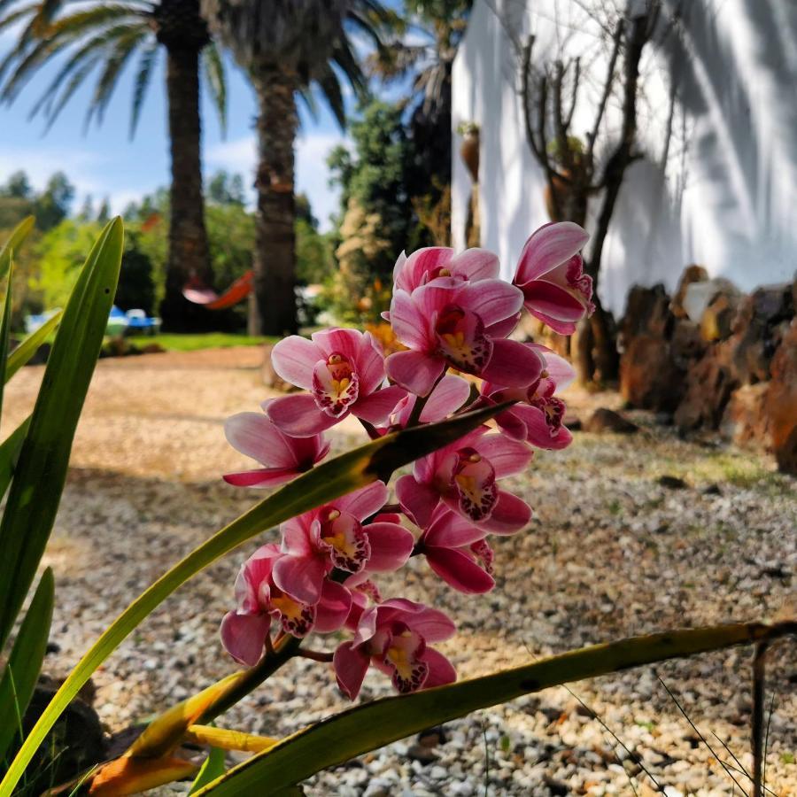 Quinta Do Paraiso Casa de Férias *