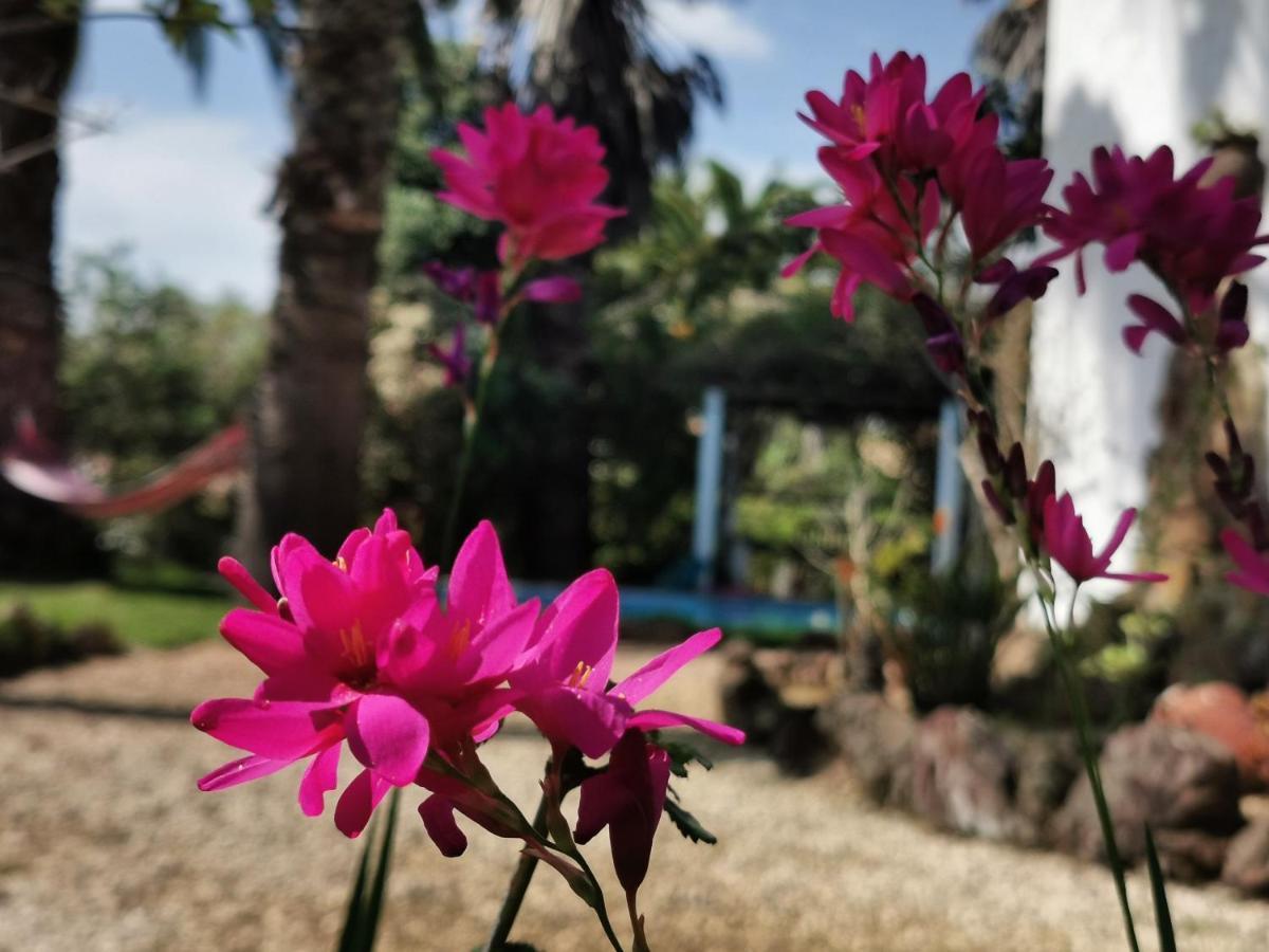 Casa de Férias Quinta Do Paraiso