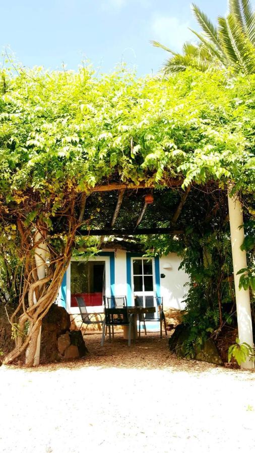 Quinta Do Paraiso São Teotónio