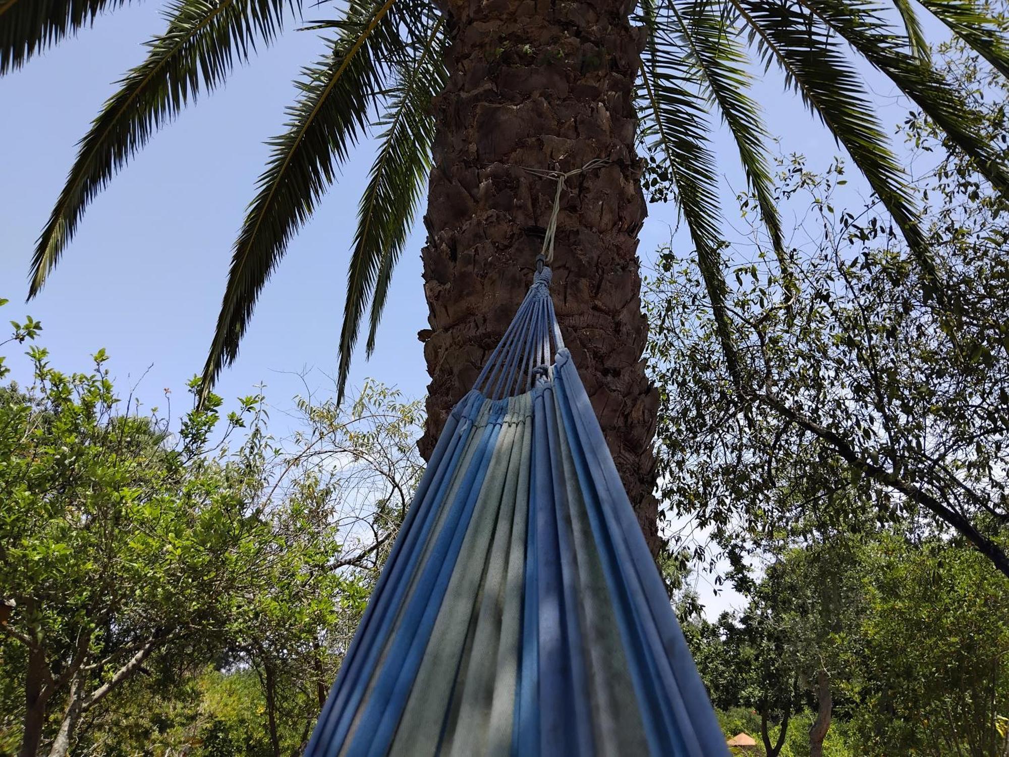 Quinta Do Paraiso São Teotónio